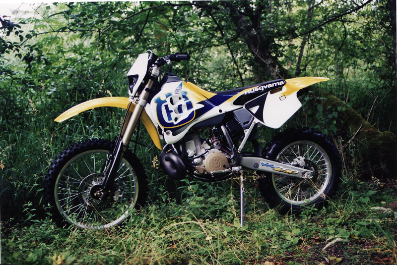 wr250trees.jpg